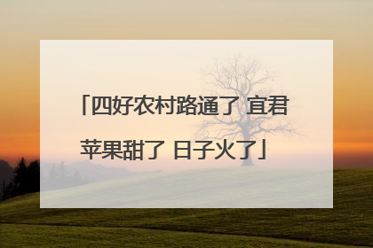 四好农村路通了 宜君苹果甜了 日子火了