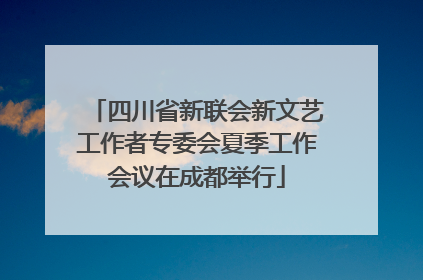 四川省新联会新文艺工作者专委会夏季工作会议在成都举行