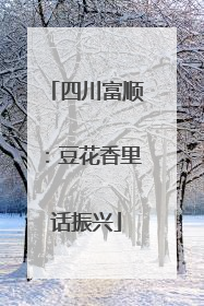 四川富顺：豆花香里话振兴