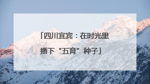 四川宜宾：在时光里播下“五育”种子