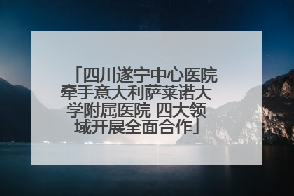 四川遂宁中心医院牵手意大利萨莱诺大学附属医院 四大领域开展全面合作