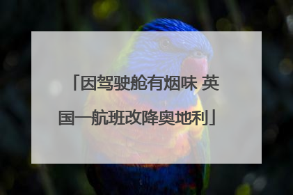 因驾驶舱有烟味 英国一航班改降奥地利