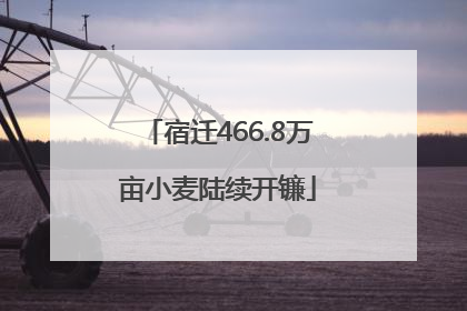 宿迁466.8万亩小麦陆续开镰