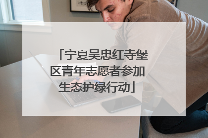 宁夏吴忠红寺堡区青年志愿者参加生态护绿行动