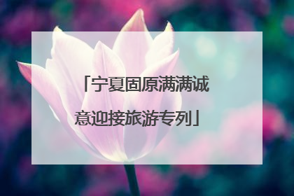 宁夏固原满满诚意迎接旅游专列