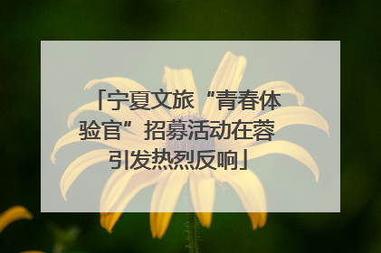 宁夏文旅“青春体验官”招募活动在蓉引发热烈反响