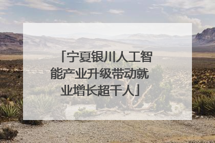 宁夏银川人工智能产业升级带动就业增长超千人