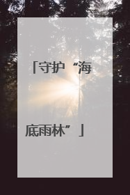 守护“海底雨林”