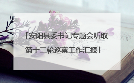 安阳县委书记专题会听取第十二轮巡察工作汇报
