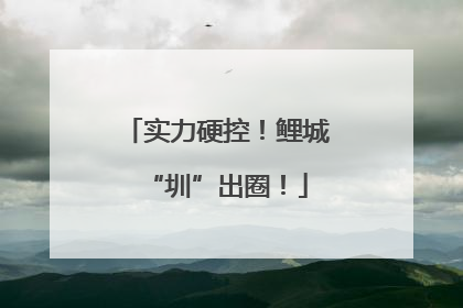实力硬控！鲤城“圳”出圈！
