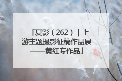 夏影（262）｜上游主题摄影征稿作品展——黄红专作品