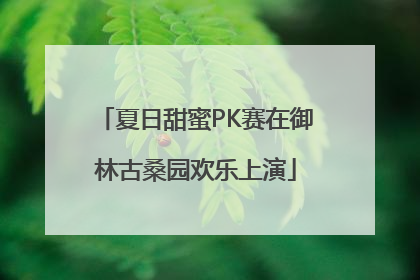 夏日甜蜜PK赛在御林古桑园欢乐上演