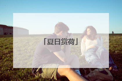 夏日赏荷