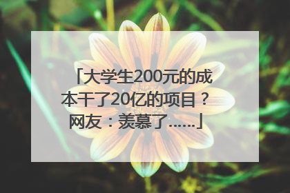 大学生200元的成本干了20亿的项目？网友：羡慕了……