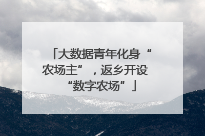 大数据青年化身“农场主”，返乡开设“数字农场”