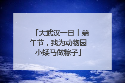 大武汉一日丨端午节，我为动物园小矮马做粽子