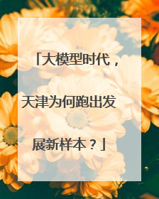 大模型时代，天津为何跑出发展新样本？