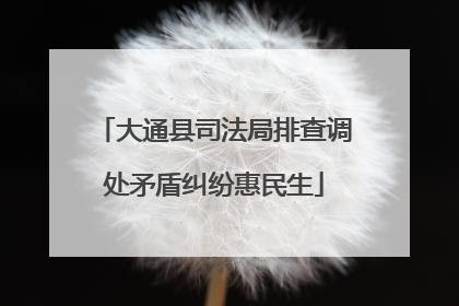 大通县司法局排查调处矛盾纠纷惠民生