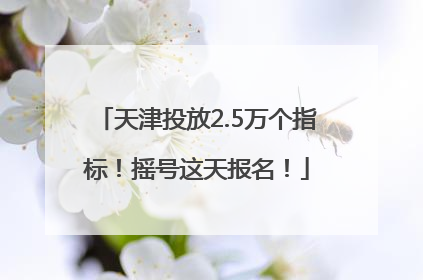 天津投放2.5万个指标！摇号这天报名！