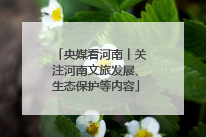 央媒看河南丨关注河南文旅发展、生态保护等内容