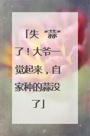 失“蒜”了！大爷一觉起来，自家种的蒜没了