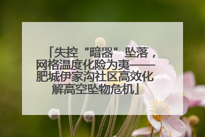 失控“暗器”坠落，网格温度化险为夷——肥城伊家沟社区高效化解高空坠物危机