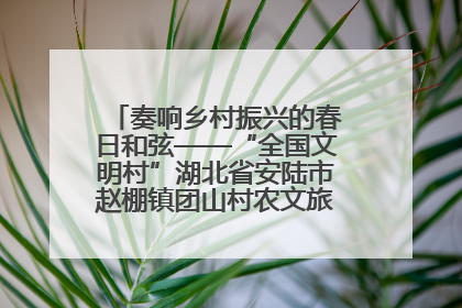 奏响乡村振兴的春日和弦——“全国文明村”湖北省安陆市赵棚镇团山村农文旅融合发展见闻