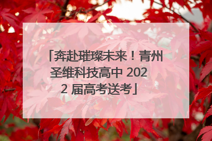 奔赴璀璨未来！青州圣维科技高中 2022 届高考送考