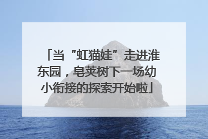 当“虹猫娃”走进淮东园，皂荚树下一场幼小衔接的探索开始啦