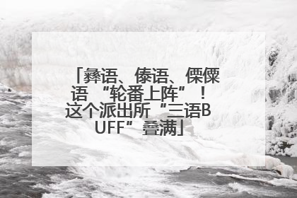 彝语、傣语、傈僳语 “轮番上阵”！这个派出所“三语BUFF”叠满