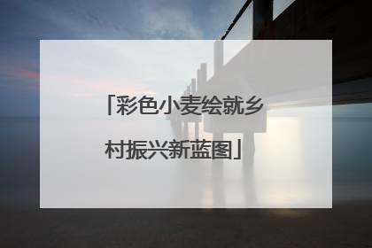 彩色小麦绘就乡村振兴新蓝图