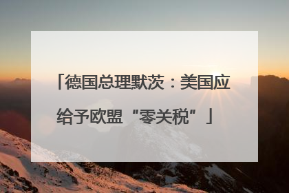 德国总理默茨：美国应给予欧盟“零关税”