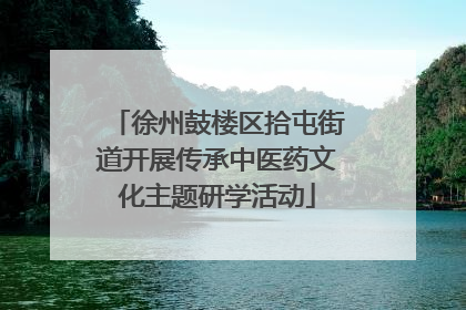 徐州鼓楼区拾屯街道开展传承中医药文化主题研学活动