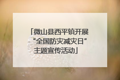 微山县西平镇开展“全国防灾减灾日”主题宣传活动