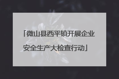 微山县西平镇开展企业安全生产大检查行动