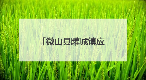微山县驩城镇应急办开展“安全生产月”教育活动