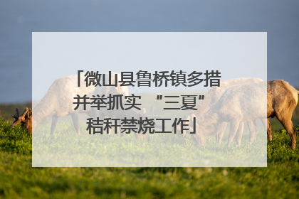 微山县鲁桥镇多措并举抓实 “三夏” 秸秆禁烧工作