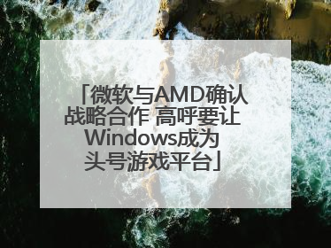 微软与AMD确认战略合作 高呼要让Windows成为头号游戏平台