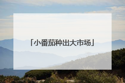 小番茄种出大市场