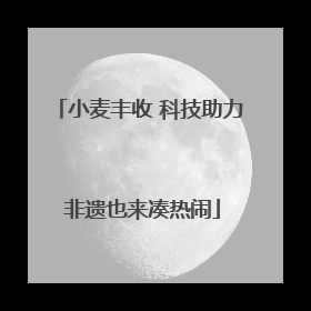 小麦丰收 科技助力 非遗也来凑热闹