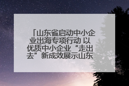 山东省启动中小企业出海专项行动 以优质中小企业“走出去”新成效展示山东产业发展新形象