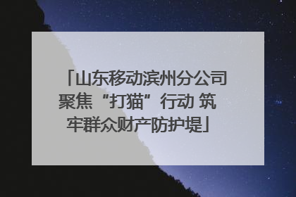 山东移动滨州分公司聚焦“打猫”行动 筑牢群众财产防护堤