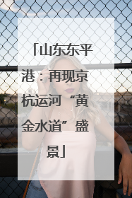 山东东平港：再现京杭运河“黄金水道”盛景