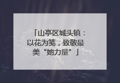 山亭区城头镇：以花为笺，致敬最美“她力量”