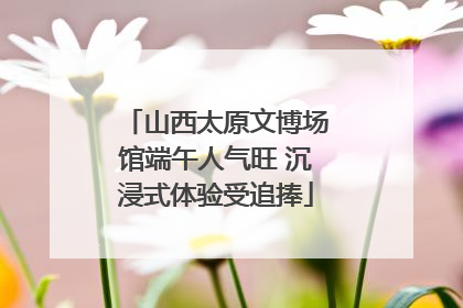 山西太原文博场馆端午人气旺 沉浸式体验受追捧
