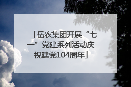 岳农集团开展“七一”党建系列活动庆祝建党104周年