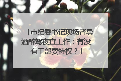 市纪委书记现场督导酒醉驾夜查工作：有没有干部耍特权？