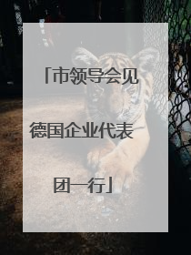 市领导会见德国企业代表团一行