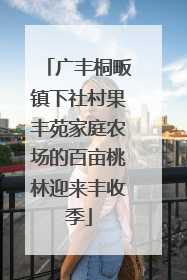 广丰桐畈镇下社村果丰苑家庭农场的百亩桃林迎来丰收季