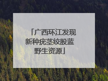 广西环江发现新种疣茎绞股蓝野生资源
